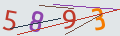 verifycode